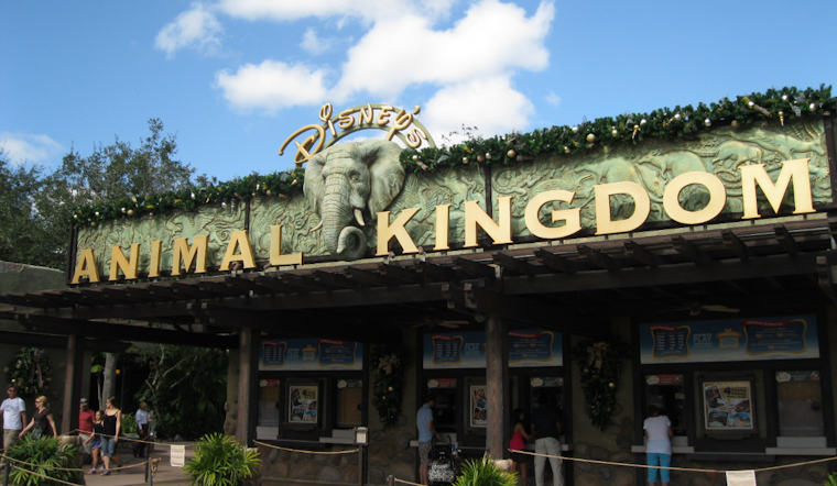 Bluey Moves In As Disney's Animal Kingdom Shutters Rafiki's Planet Watch