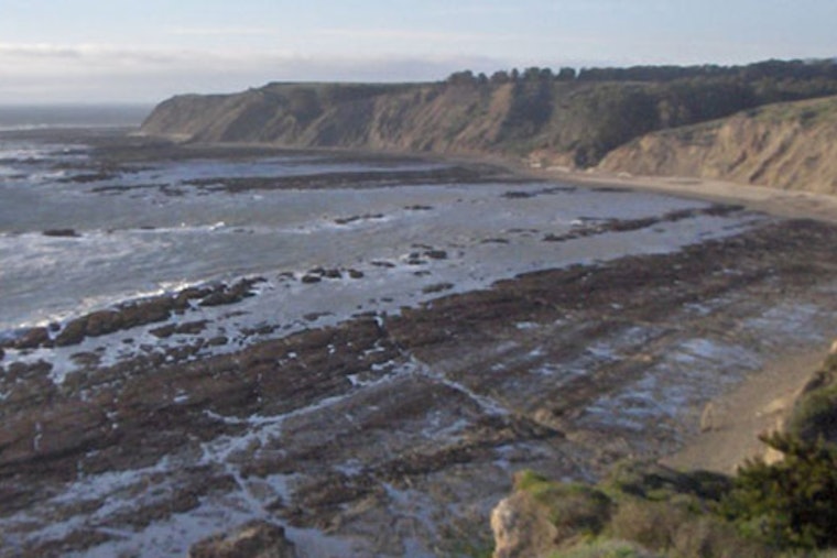 Bolinas Fights Back: Locals Push Rival Plan To Save Duxbury Reef