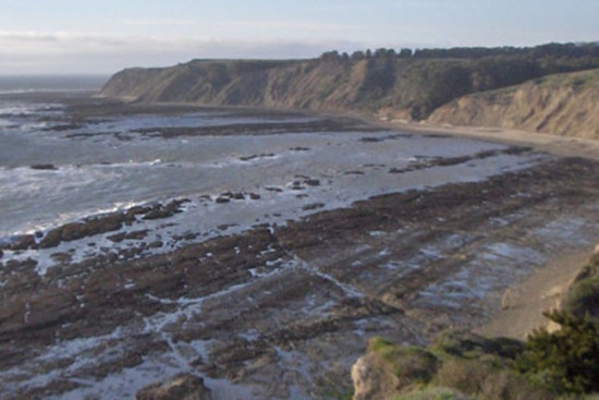 Bolinas Fights Back: Locals Push Rival Plan To Save Duxbury Reef