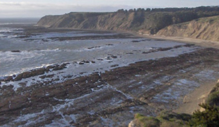 Bolinas Fights Back: Locals Push Rival Plan To Save Duxbury Reef