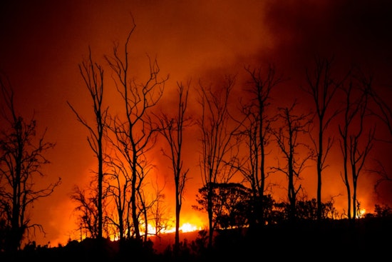 Bonita Creek Blaze Puts Gila County On Go As Residents Ordered Out