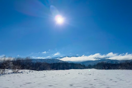 Boston Braces for Biting Cold as Temperatures Plunge This Weekend