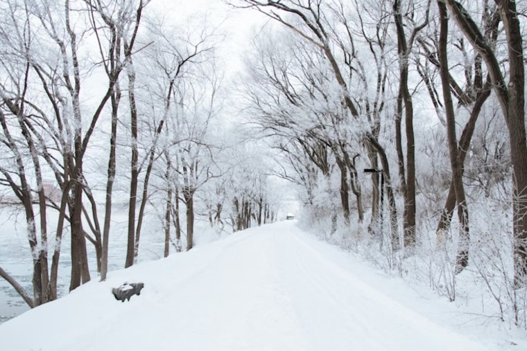 Boston Mayor Michelle Wu Declares State of Emergency in Anticipation of Extreme Cold