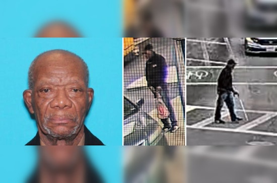 Boston Police Issue Missing Person Alert for 82-Year-Old Robert Wilson, Community Assistance Sought