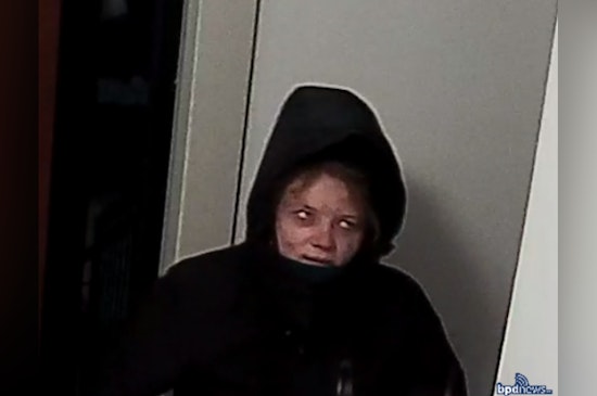 Boston Police Seek Public's Help to Identify Suspect in Daylight Residential Burglary in Roxbury