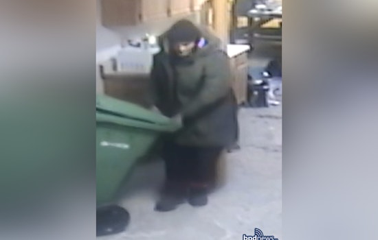 Boston Police Seek Public's Help to Identify Suspect in Roxbury Breaking and Entering Case