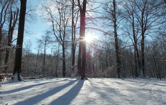 Boston's Weekend Weather Forecast: Mild Days with a Chance of Flurries Ahead