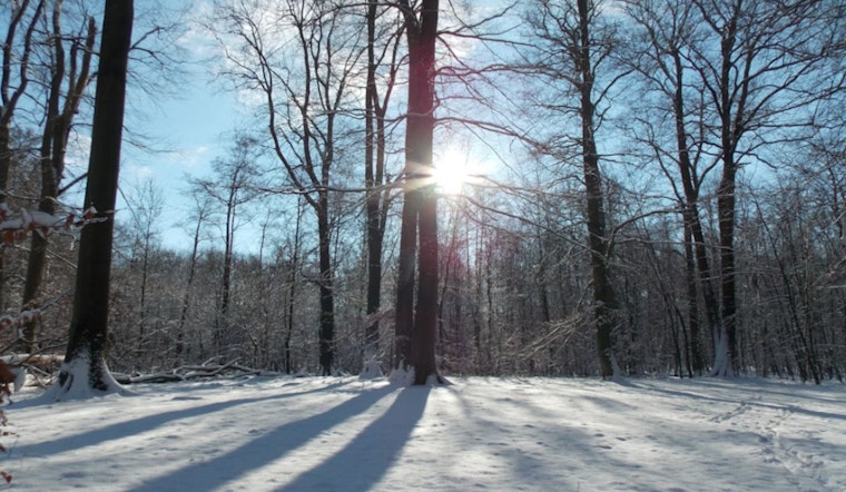 Boston's Weekend Weather Forecast: Mild Days with a Chance of Flurries Ahead