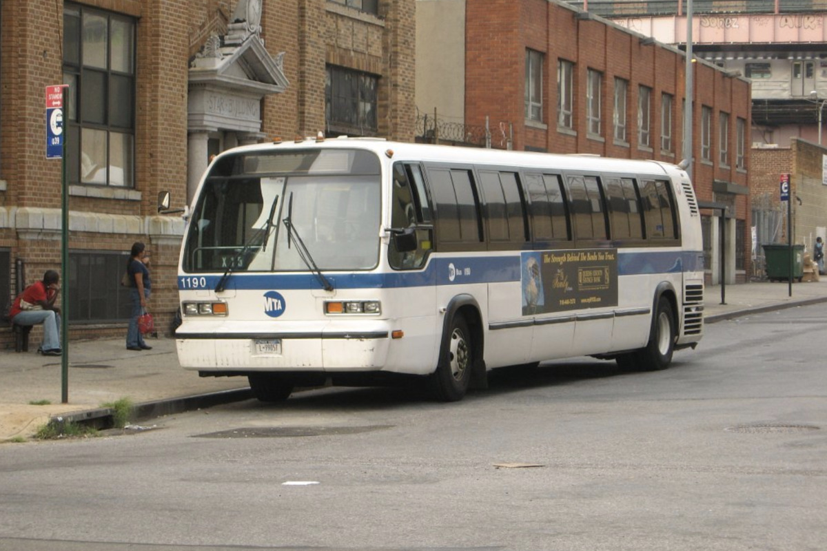 Staten Island Turkey Stops MTA Bus in Crosswalk