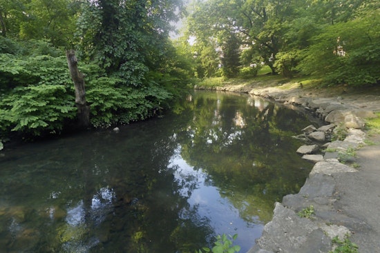 Bronx Pols Rip Con Ed Over Oily Slicks On The Bronx River