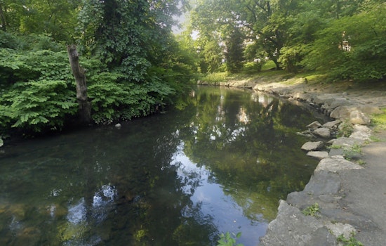 Bronx Pols Rip Con Ed Over Oily Slicks On The Bronx River