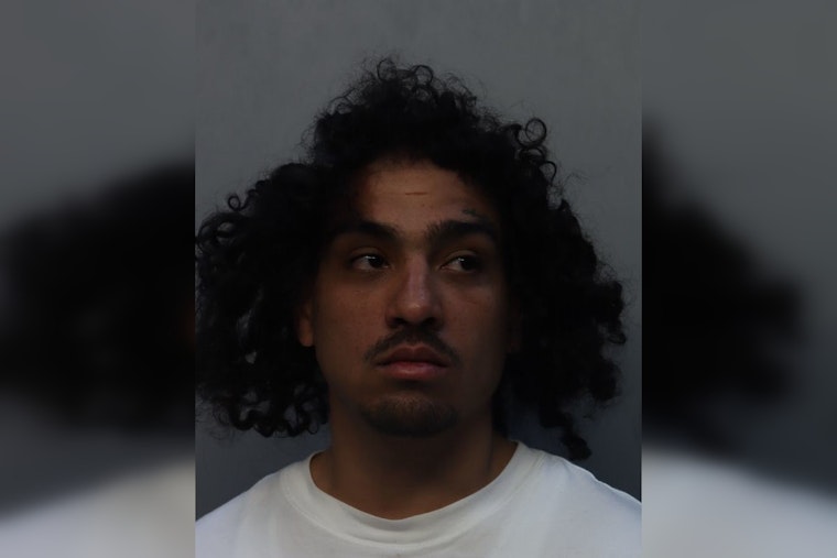 Brownsville Blowup: Roommate Fight Ends With Deputies Kicked, Cops Say
