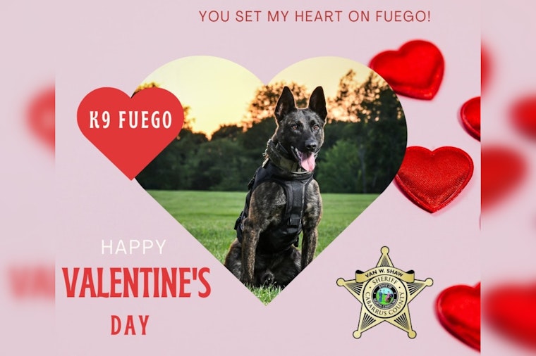 Cabarrus County Sheriff's K9 Unit Sends Paws-itive Valentine's Day Wishes to Residents