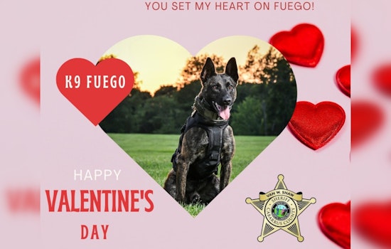 Cabarrus County Sheriff's K9 Unit Sends Paws-itive Valentine's Day Wishes to Residents