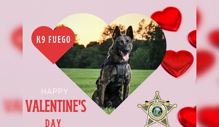 Cabarrus County Sheriff's K9 Unit Sends Paws-itive Valentine's Day Wishes to Residents