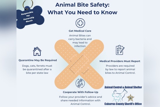 Cabarrus County Sheriff's Office Educates Public on Animal Bite Safety During Responsible Pet Ownership Month
