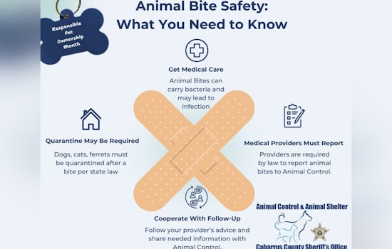 Cabarrus County Sheriff's Office Educates Public on Animal Bite Safety During Responsible Pet Ownership Month