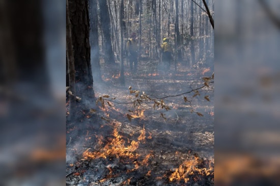 Cary, North Carolina Schedules Annual Prescribed Burn at Hemlock Bluffs to Mitigate Wildfire Risks