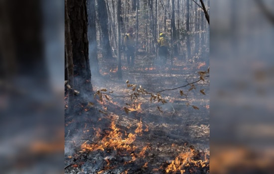Cary, North Carolina Schedules Annual Prescribed Burn at Hemlock Bluffs to Mitigate Wildfire Risks
