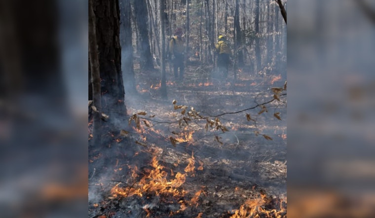 Cary, North Carolina Schedules Annual Prescribed Burn at Hemlock Bluffs to Mitigate Wildfire Risks