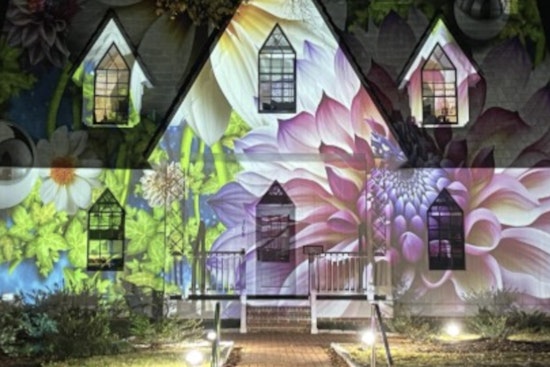 Cary Sparkles as Annual Light-Based Art Installation Returns to Downtown
