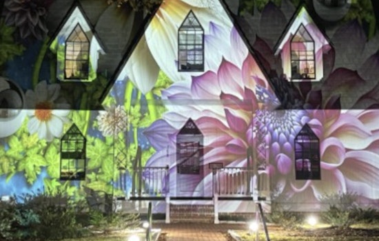 Cary Sparkles as Annual Light-Based Art Installation Returns to Downtown