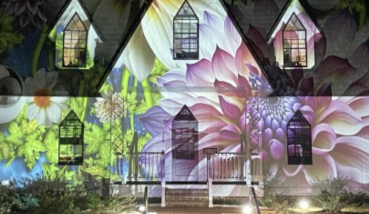 Cary Sparkles as Annual Light-Based Art Installation Returns to Downtown