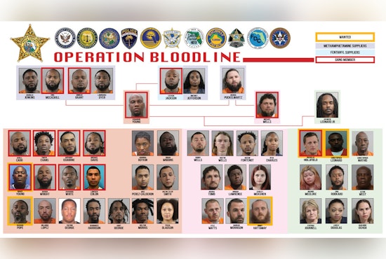 Central Florida Drug Trafficking Organizations Dismantled in Polk County Sheriff's Sweeping Operations