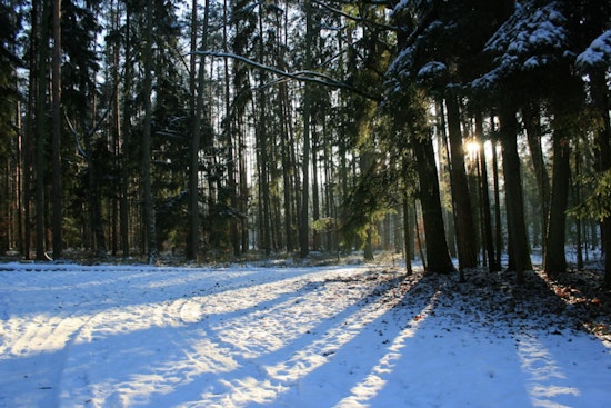 Charlotte Gripped by Freezing Temperatures as National Weather Service Issues Cold Weather Advisory