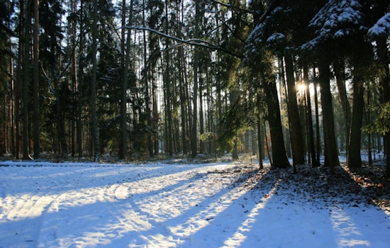Charlotte Gripped by Freezing Temperatures as National Weather Service Issues Cold Weather Advisory