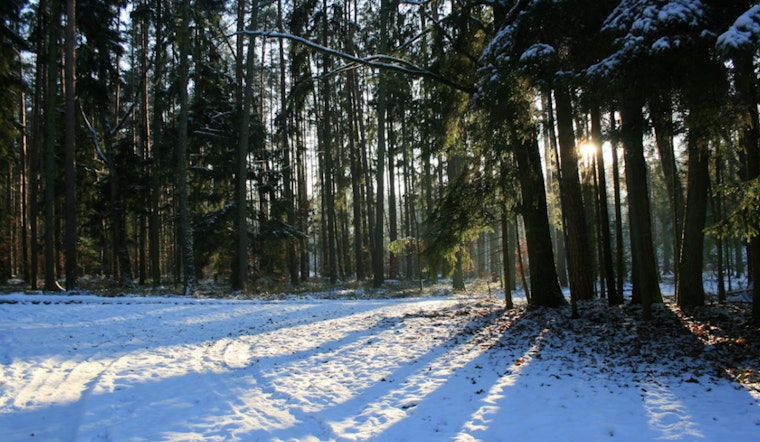 Charlotte Gripped by Freezing Temperatures as National Weather Service Issues Cold Weather Advisory