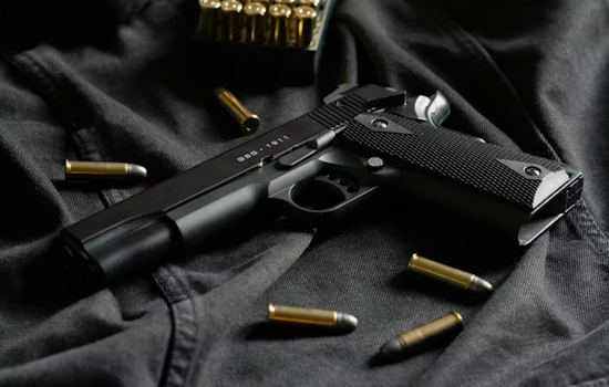 Charlotte Gun Runner Who Hid Glocks in Lamps Gets Seven Years