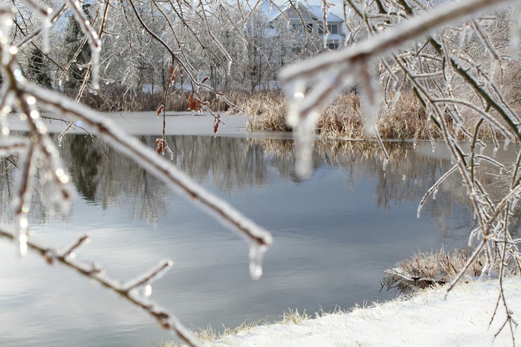 Child and 59-Year-Old Hero Rescued from Frozen Pond in Cary Amid Safety Warnings