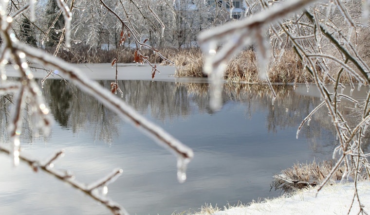 Child and 59-Year-Old Hero Rescued from Frozen Pond in Cary Amid Safety Warnings