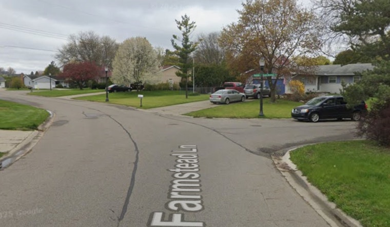 Child Tragically Killed in Delta Township Mayhem as Man Mows Down Family with Car, Opens Fire
