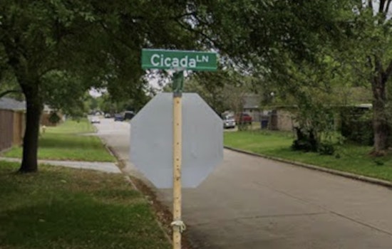 Cicada Lane Welfare Check Erupts Into Deadly Barricade Drama