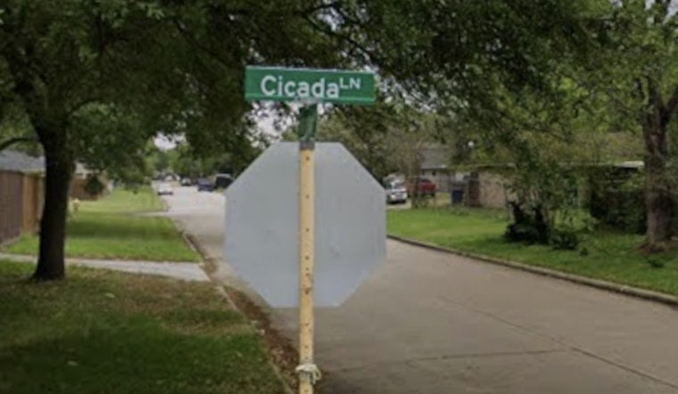 Cicada Lane Welfare Check Erupts Into Deadly Barricade Drama