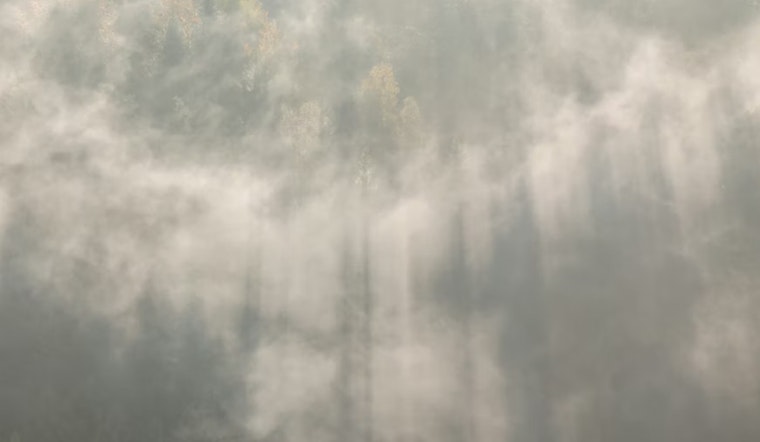 Cincinnati Set For Sudden Midday Fog Before Springlike Surge