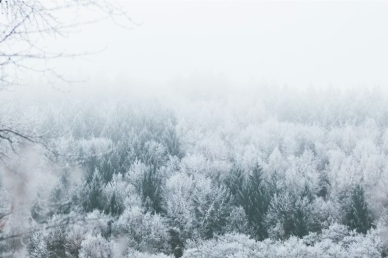 Cincinnati Shakes Off Foggy Chill As Valentine’s Weekend Warms Up