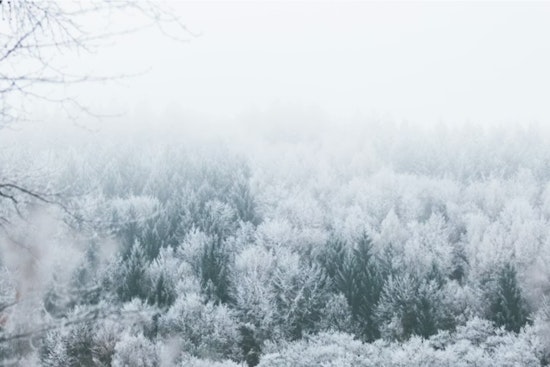 Cincinnati Shakes Off Foggy Chill As Valentine’s Weekend Warms Up