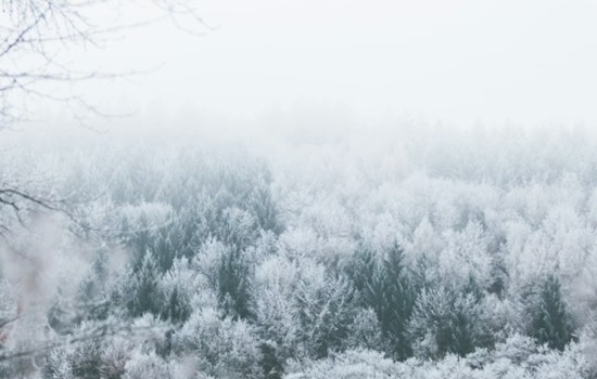 Cincinnati Shakes Off Foggy Chill As Valentine’s Weekend Warms Up