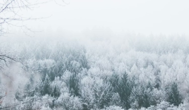 Cincinnati Shakes Off Foggy Chill As Valentine’s Weekend Warms Up