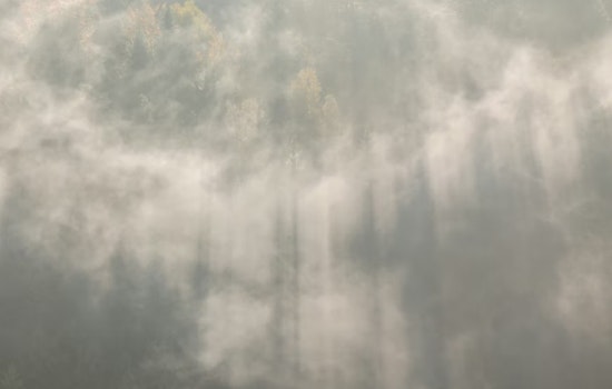 Cincinnati Wakes Up In A Fog Before Springlike Heat Cranks Up