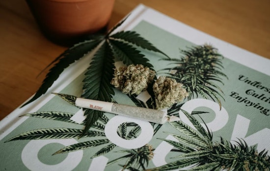 Cincy Councilman Wants Weed Tax Cash To Pay Back Pot’s Biggest Victims