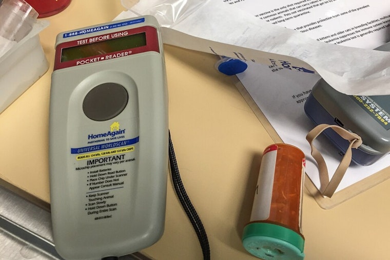 Cincy Shelter Sounds Alarm as Pet Microchips Go Dead After Registry Meltdown