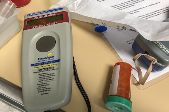 Cincy Shelter Sounds Alarm as Pet Microchips Go Dead After Registry Meltdown