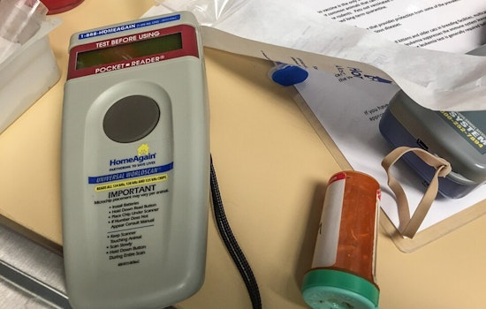 Cincy Shelter Sounds Alarm as Pet Microchips Go Dead After Registry Meltdown
