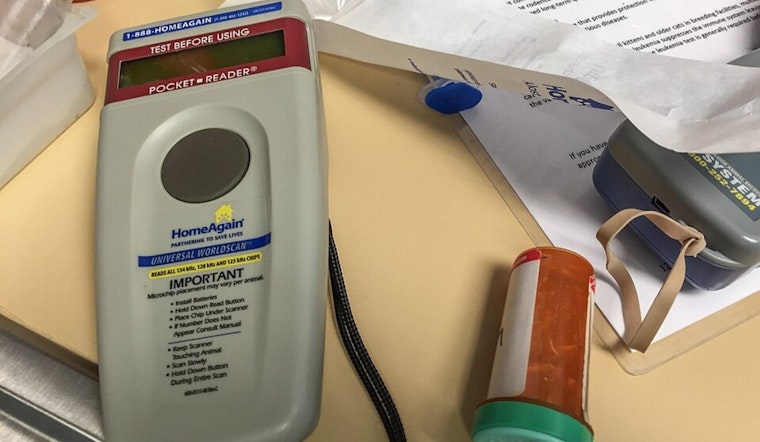 Cincy Shelter Sounds Alarm as Pet Microchips Go Dead After Registry Meltdown