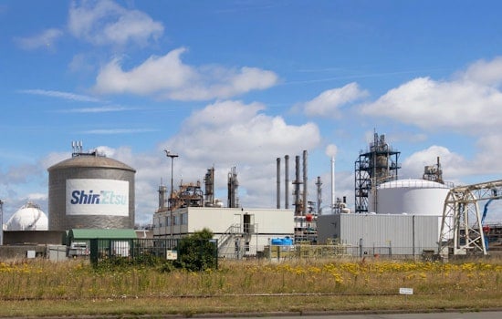 Clayton Chemical Titan Walloped With $75M Hit in Shintech Showdown