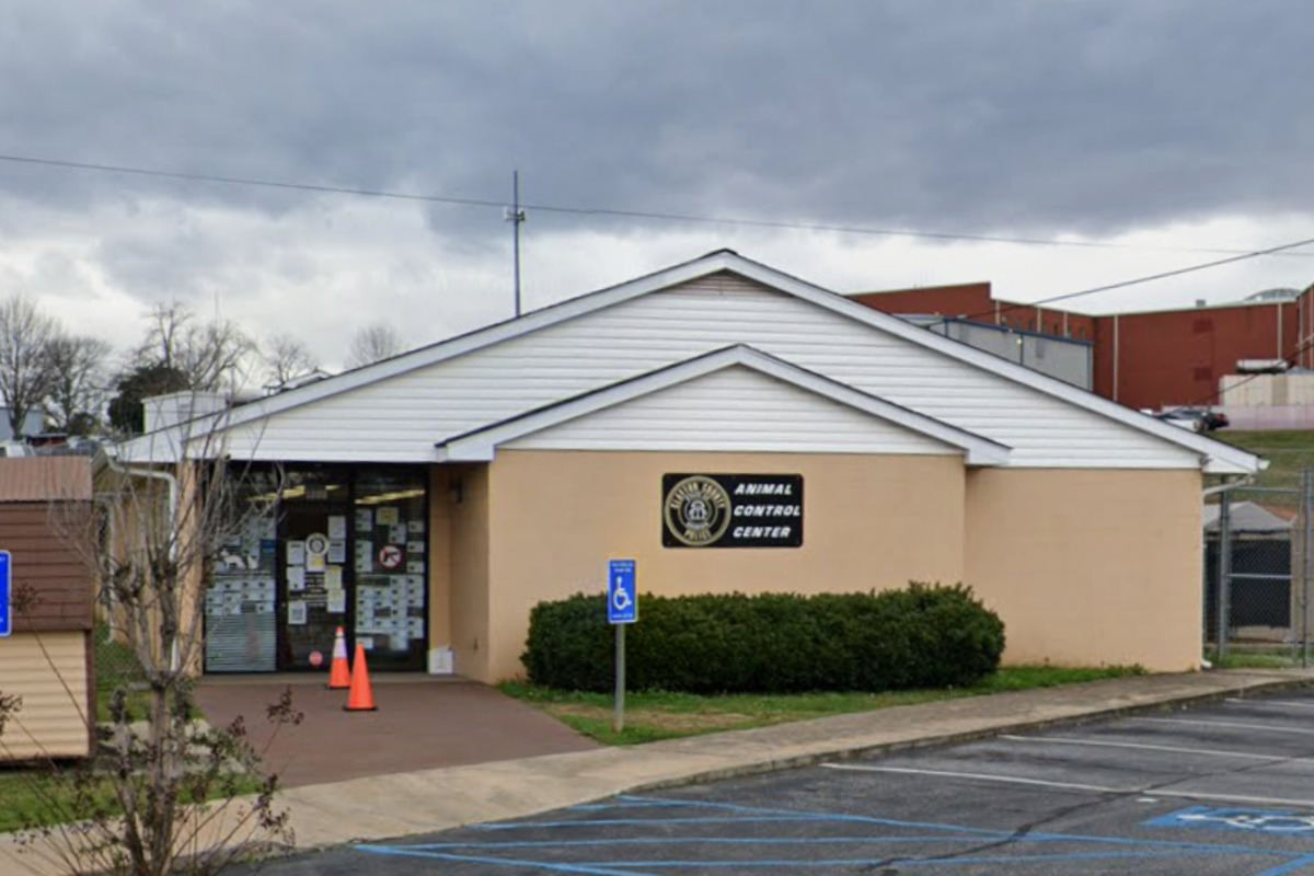 Picture Idea: Clayton County Pit Bull Attack Injures Shelter Staff